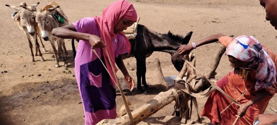 تحذيرات أممية من تفاقم الأزمة الإنسانية في السودان وتراجع تمويل الإغاثة